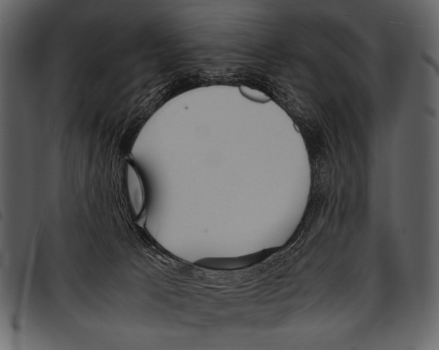 X0000097480033200803201519