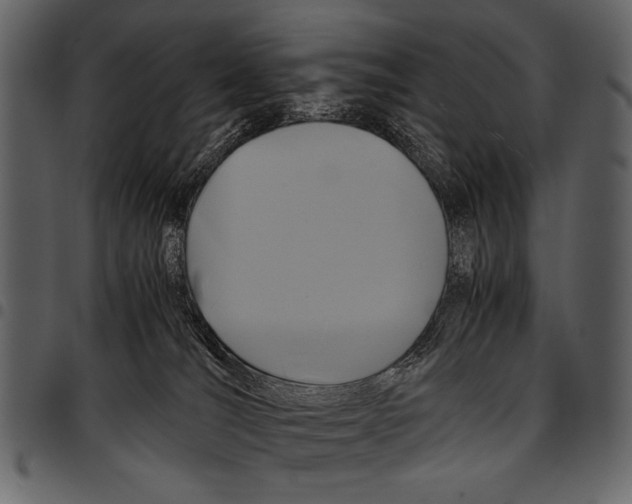 X0000097480036200803201519