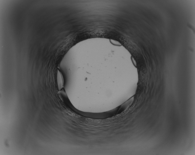 X0000097480037200803201519