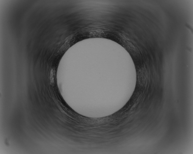 X0000097480038200803201519