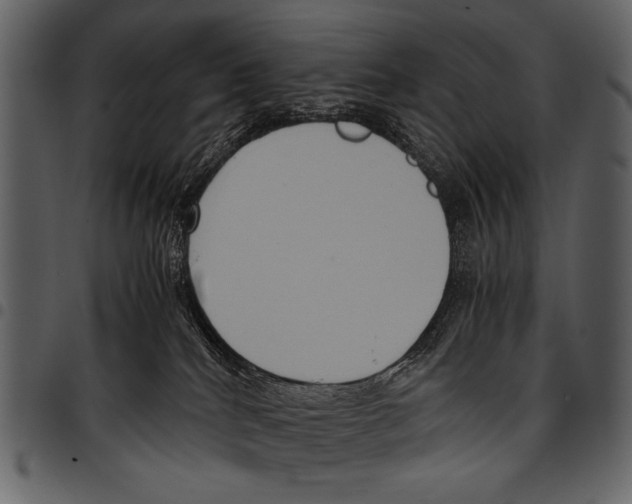 X0000097480040200803201519