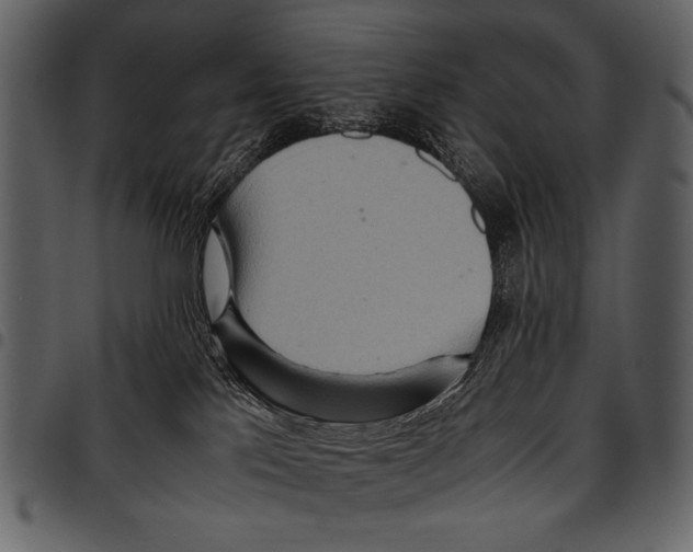 X0000097480041200803201518