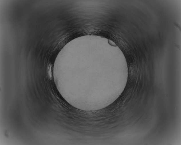 X0000097480042200803201518