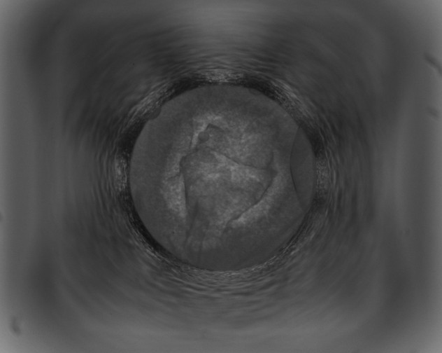 X0000097480043200803201518