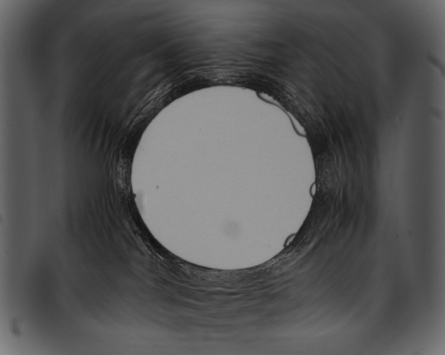 X0000097480044200803201518