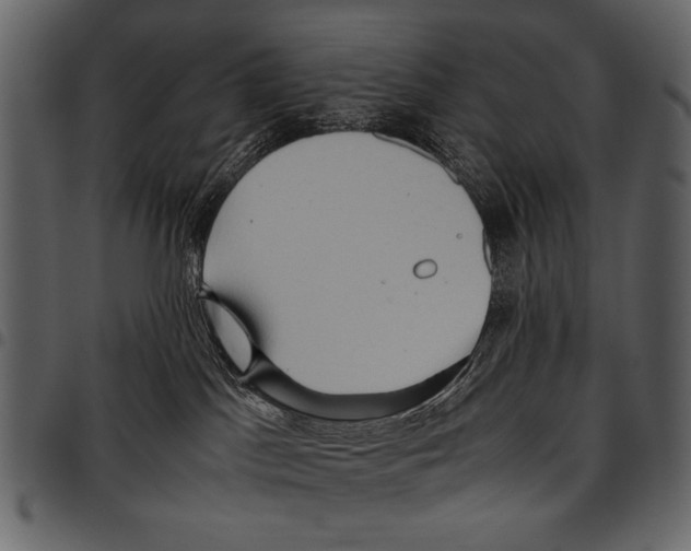 X0000097480045200803201518