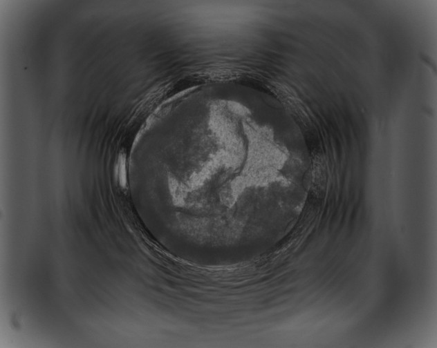 X0000097480046200803201518