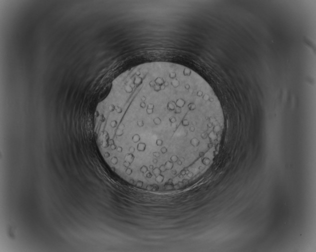 X0000097480048200803201518
