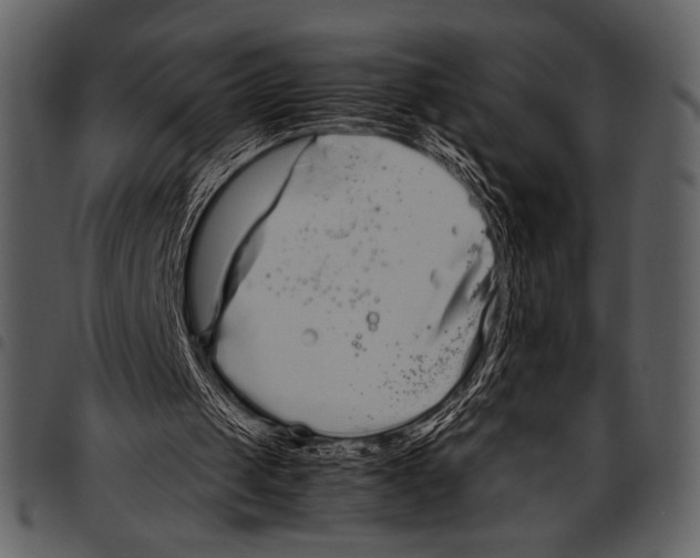 X0000097480049200803201518