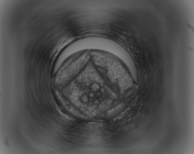 X0000097480050200803201518