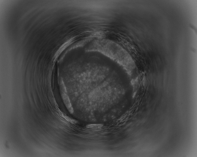 X0000097480051200803201518