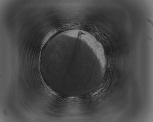 X0000097480052200803201518