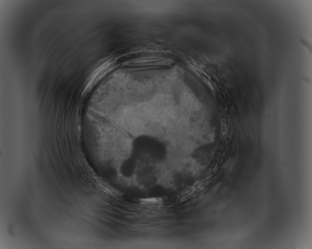 X0000097480053200803201518