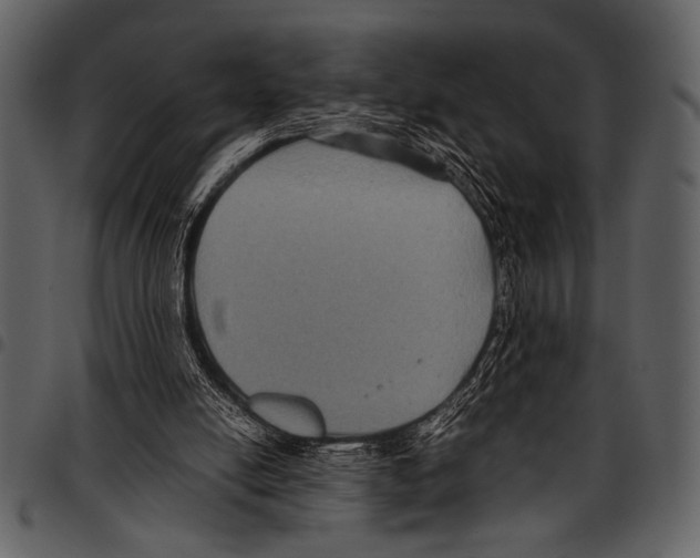 X0000097480054200803201518