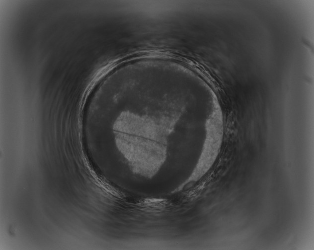 X0000097480055200803201518