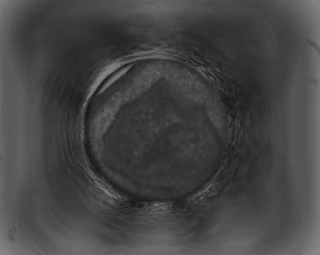 X0000097480056200803201518