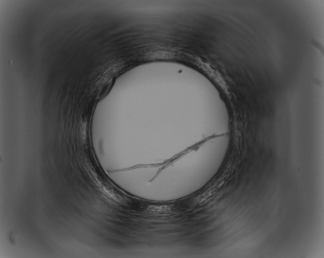 X0000097480057200803201518