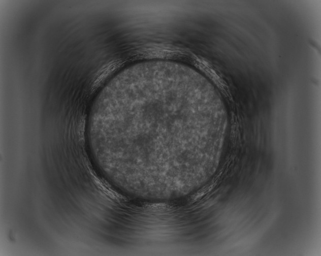 X0000097480058200803201518