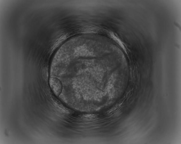 X0000097480059200803201518