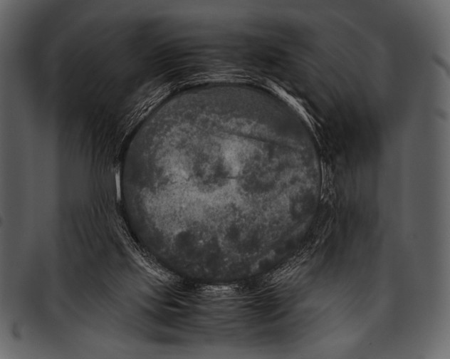 X0000097480061200803201518