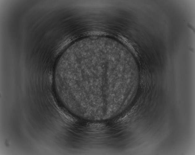 X0000097480063200803201518