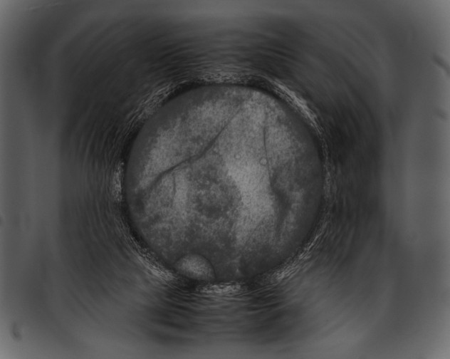 X0000097480065200803201518