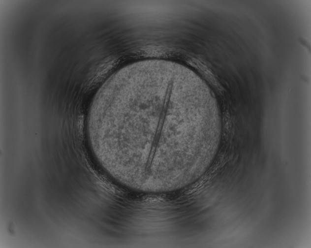 X0000097480066200803201518