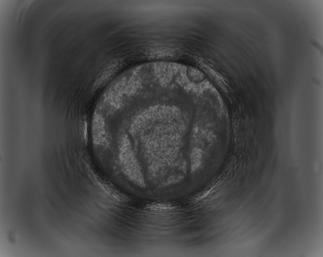 X0000097480067200803201518