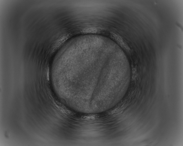 X0000097480068200803201518