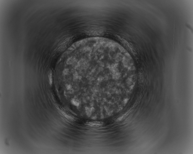 X0000097480069200803201518