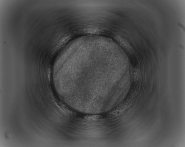 X0000097480072200803201518