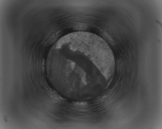 X0000097480073200803201518