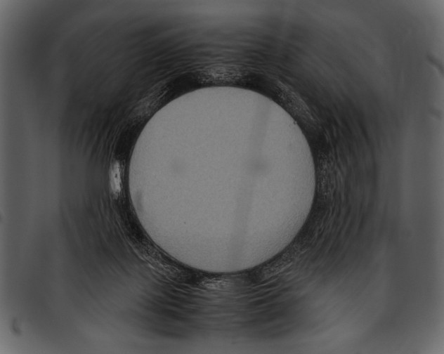 X0000097480075200803201518