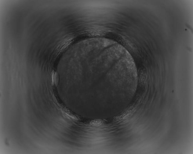 X0000097480076200803201518