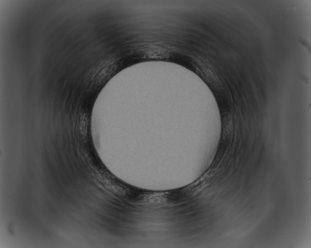 X0000097480078200803201518