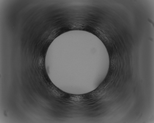 X0000097480079200803201518