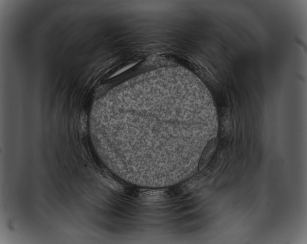 X0000097480081200803201518