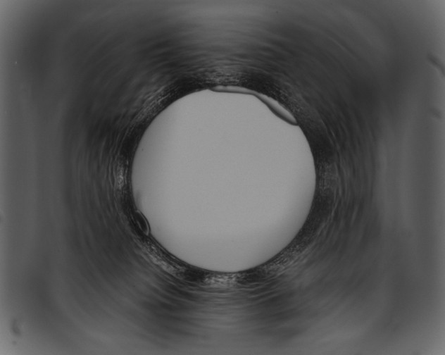 X0000097480084200803201518