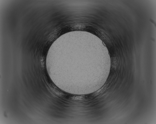 X0000097480086200803201518