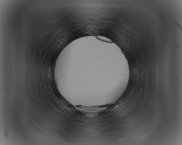 X0000097480088200803201518