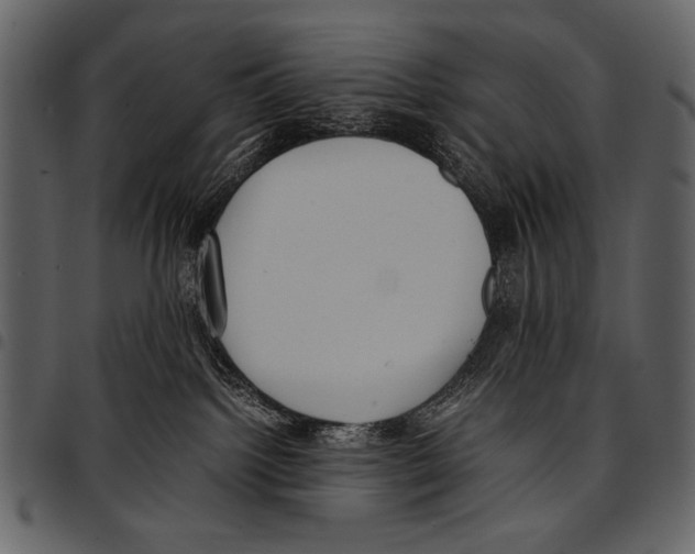 X0000097480092200803201518