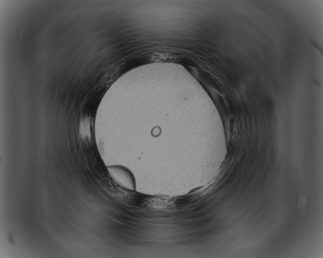 X0000097480094200803201518