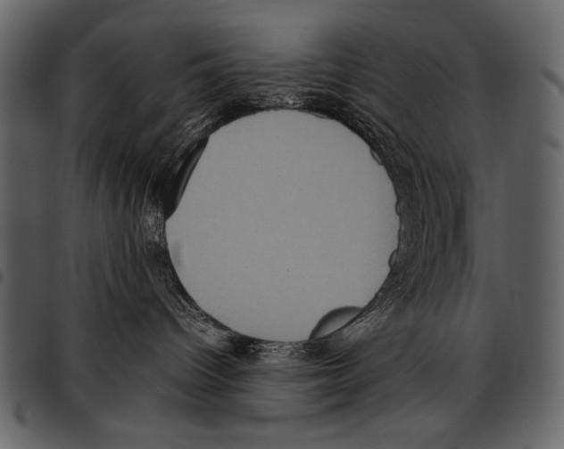 X0000097480096200803201518