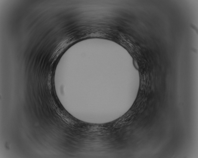 X0000097480098200803201518