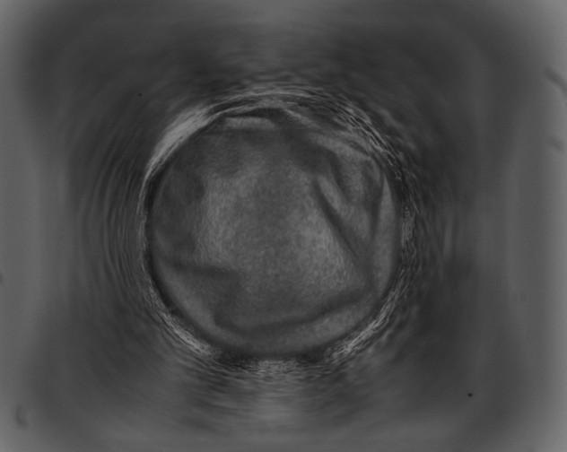 X0000097480101200803201518