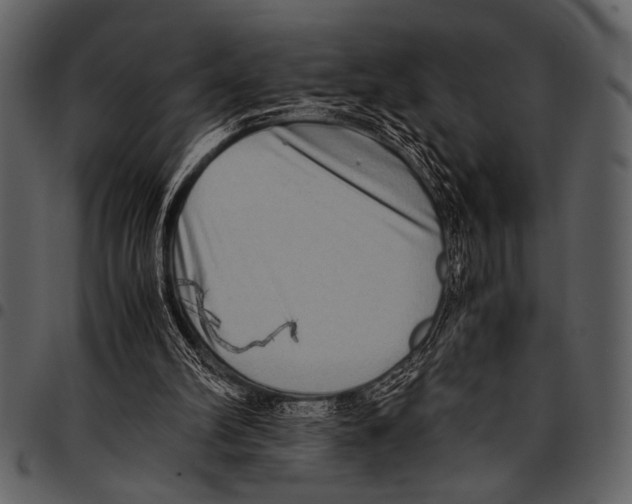 X0000097480102200803201518