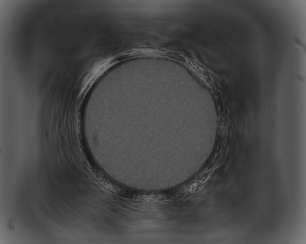 X0000097480103200803201518