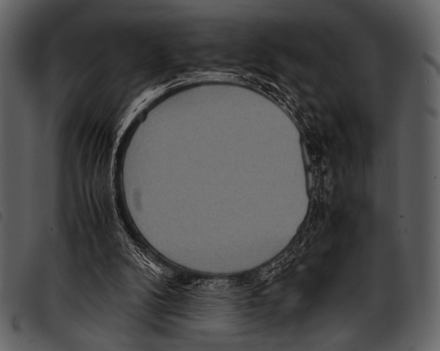 X0000097480104200803201518