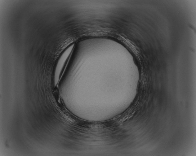 X0000097480105200803201518