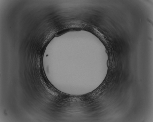 X0000097480106200803201518